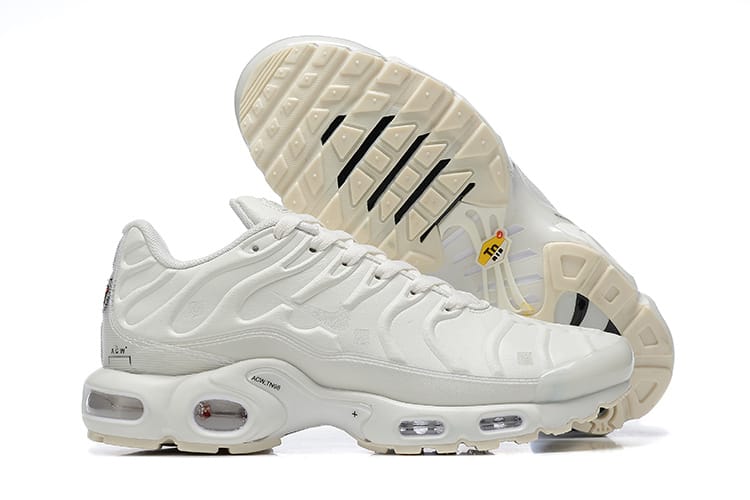 Nike Air Max Plus Platinum Tint