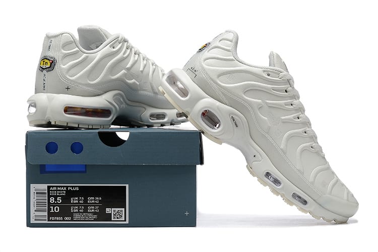 Nike Air Max Plus Platinum Tint