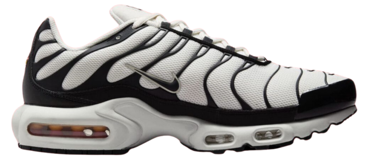 Air Max TN Panda